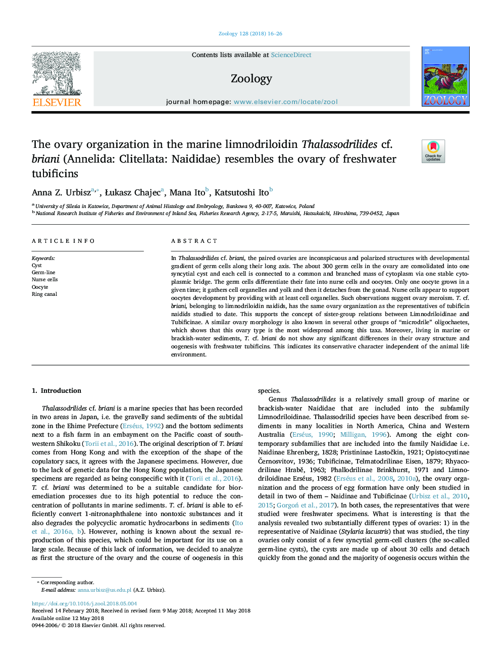 The ovary organization in the marine limnodriloidin Thalassodrilides cf. briani (Annelida: Clitellata: Naididae) resembles the ovary of freshwater tubificins