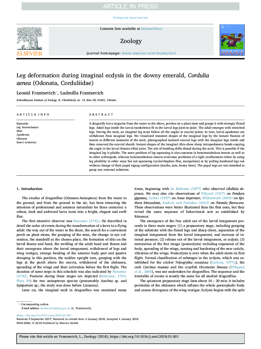 Leg deformation during imaginal ecdysis in the downy emerald, Cordulia aenea (Odonata, Corduliidae)