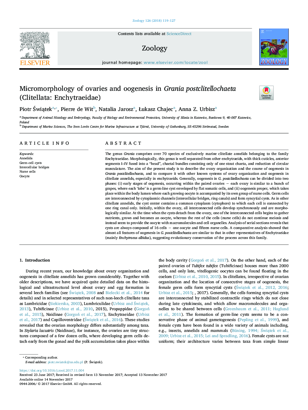 Micromorphology of ovaries and oogenesis in Grania postclitellochaeta (Clitellata: Enchytraeidae)