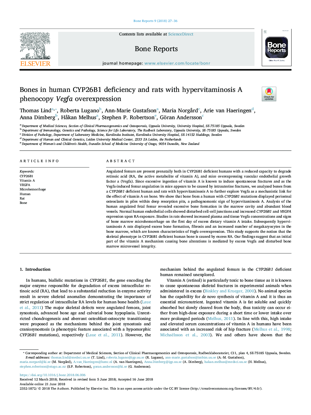 Bones in human CYP26B1 deficiency and rats with hypervitaminosis A phenocopy Vegfa overexpression