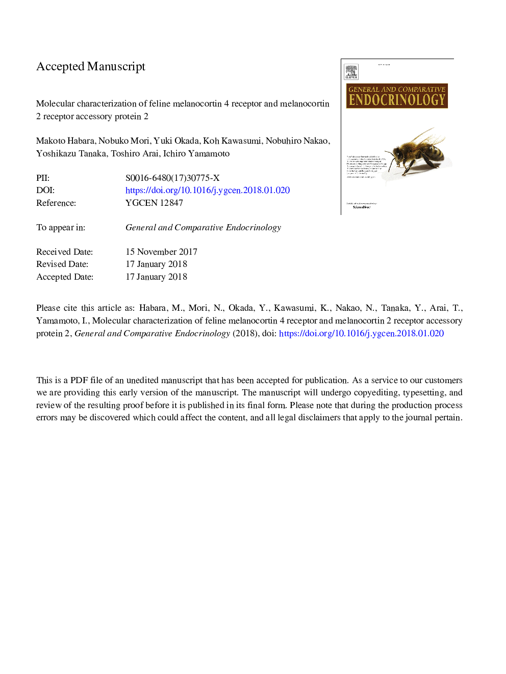 Molecular characterization of feline melanocortin 4 receptor and melanocortin 2 receptor accessory protein 2