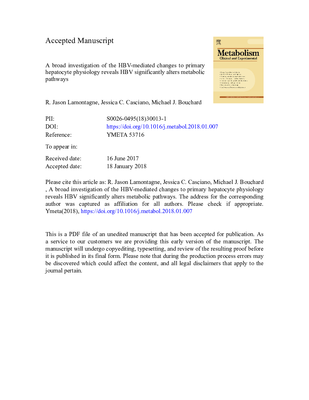 A broad investigation of the HBV-mediated changes to primary hepatocyte physiology reveals HBV significantly alters metabolic pathways