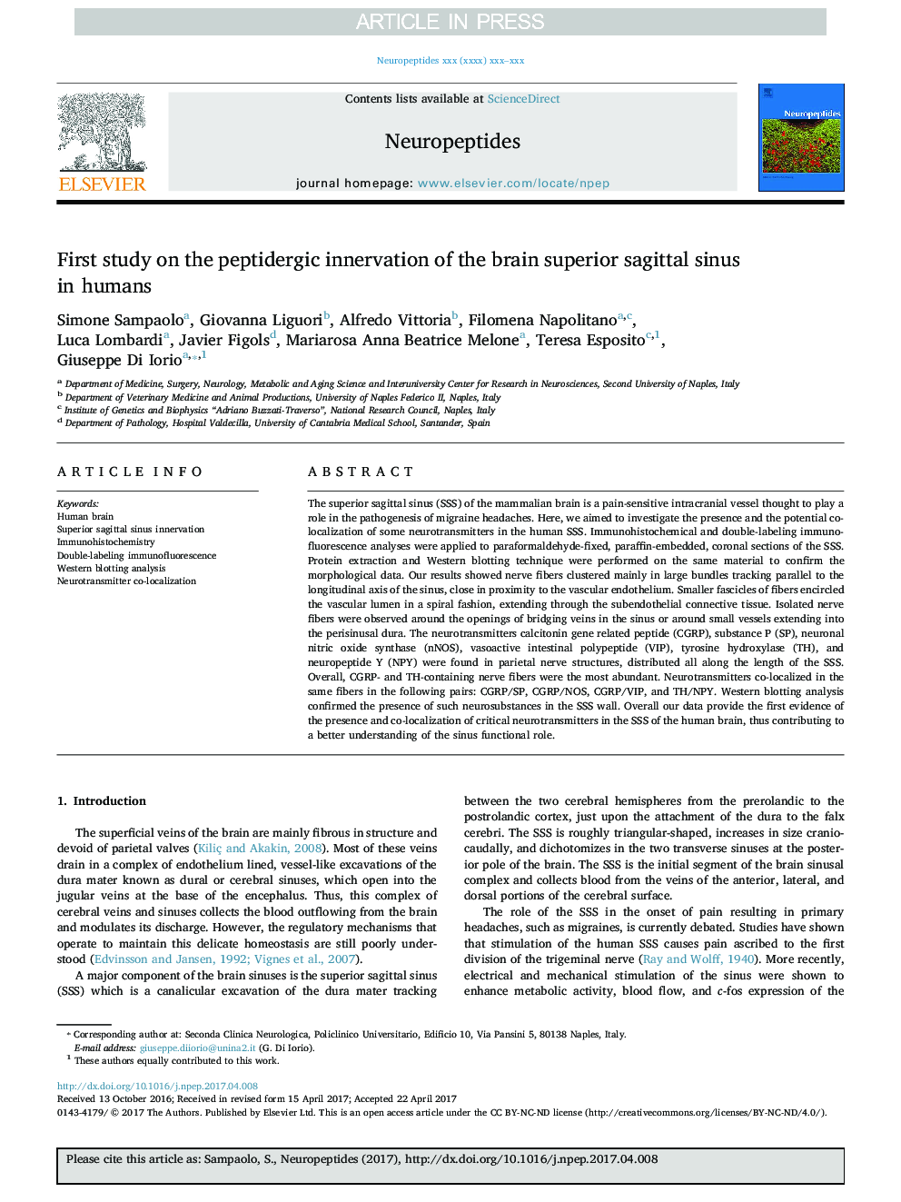 First study on the peptidergic innervation of the brain superior sagittal sinus in humans