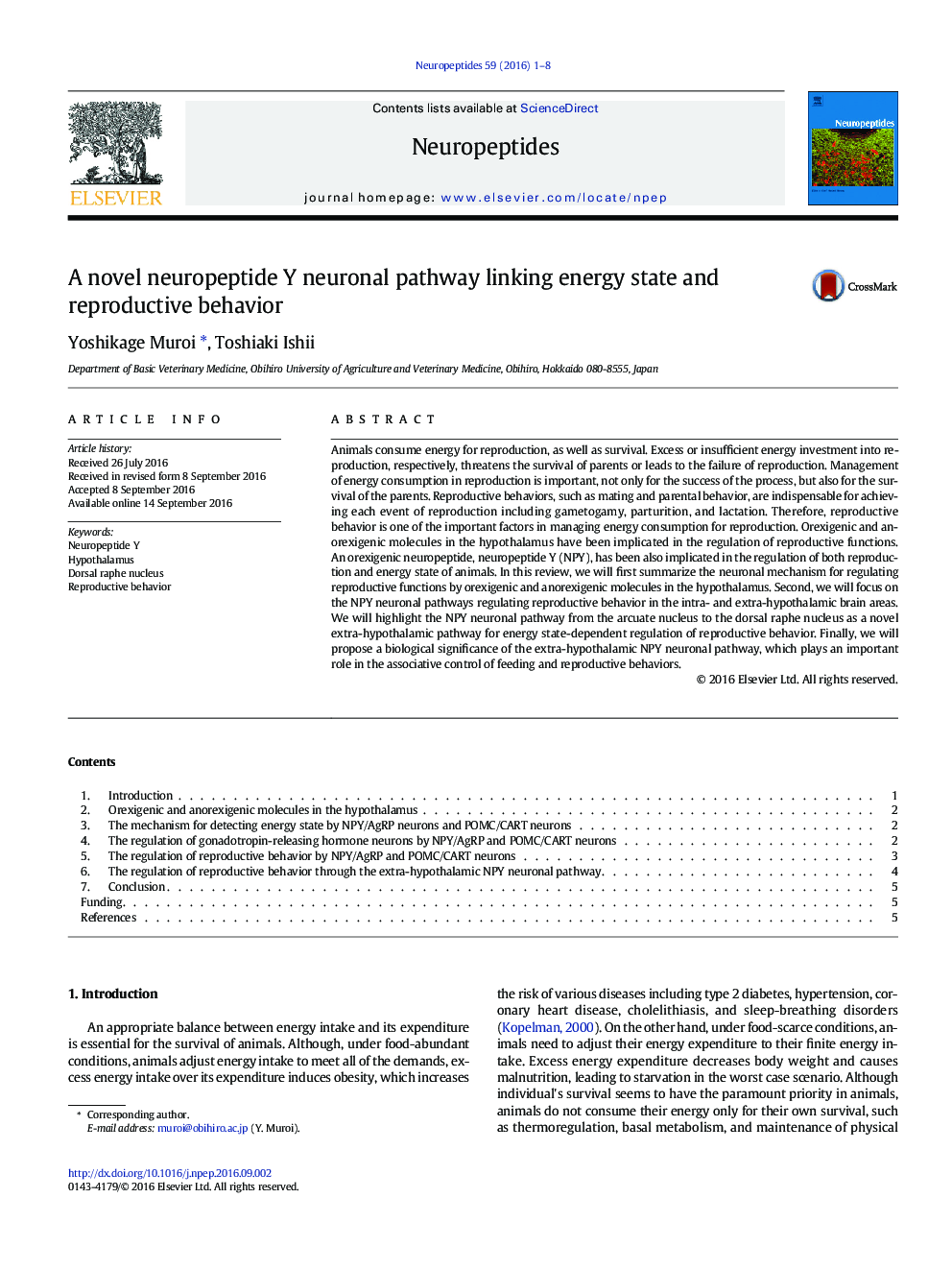 A novel neuropeptide Y neuronal pathway linking energy state and reproductive behavior