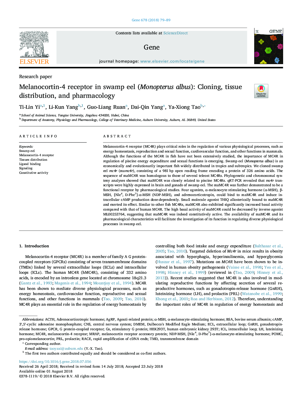 Melanocortin-4 receptor in swamp eel (Monopterus albus): Cloning, tissue distribution, and pharmacology