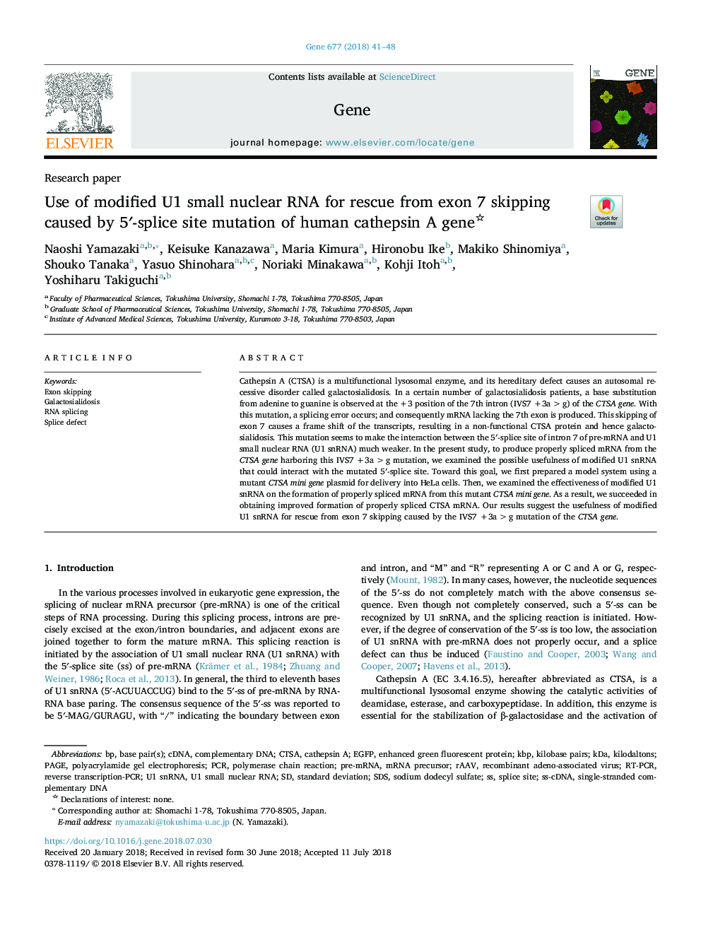 Use of modified U1 small nuclear RNA for rescue from exon 7 skipping caused by 5â²-splice site mutation of human cathepsin A gene