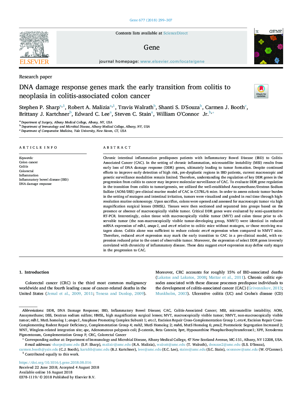 DNA damage response genes mark the early transition from colitis to neoplasia in colitis-associated colon cancer