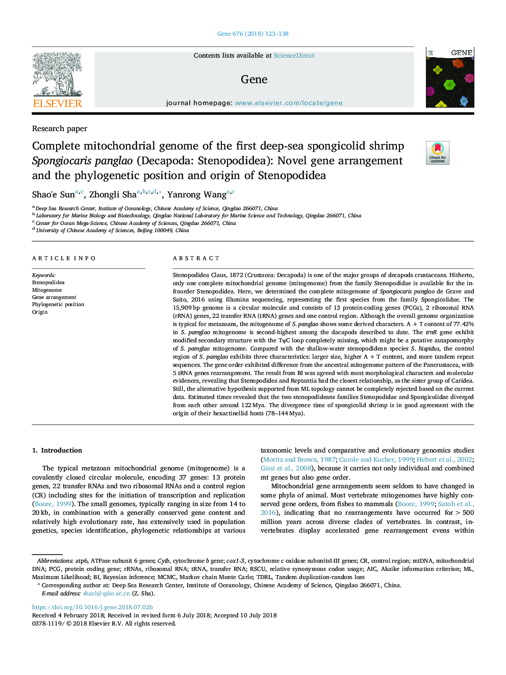 Complete mitochondrial genome of the first deep-sea spongicolid shrimp Spongiocaris panglao (Decapoda: Stenopodidea): Novel gene arrangement and the phylogenetic position and origin of Stenopodidea