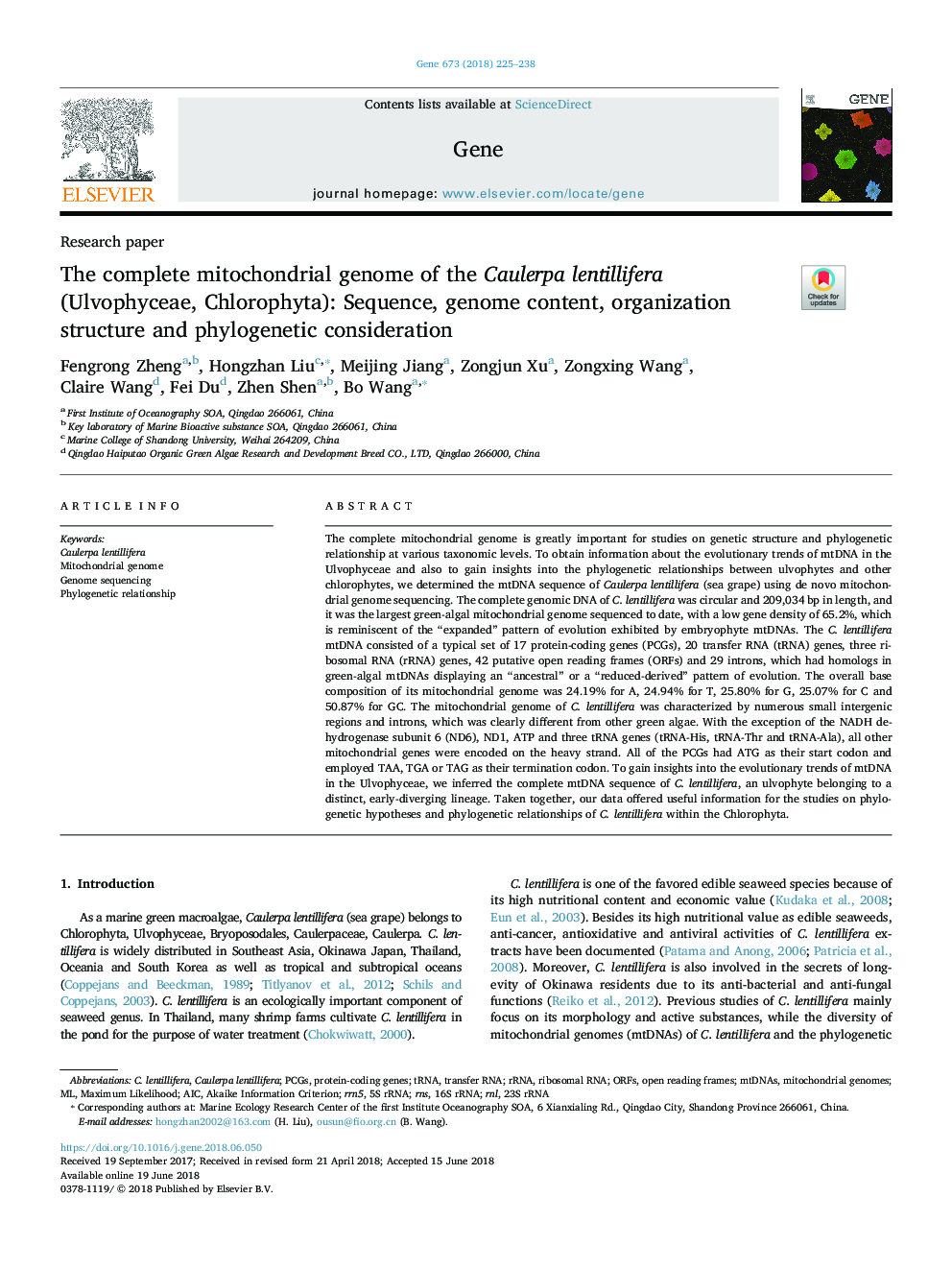 The complete mitochondrial genome of the Caulerpa lentillifera (Ulvophyceae, Chlorophyta): Sequence, genome content, organization structure and phylogenetic consideration