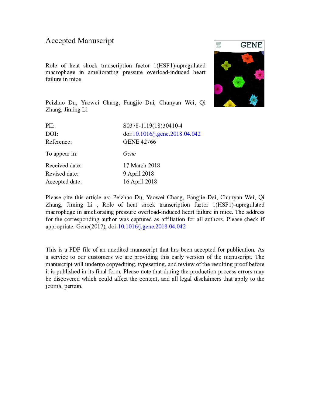 Role of heat shock transcription factor 1(HSF1)-upregulated macrophage in ameliorating pressure overload-induced heart failure in mice