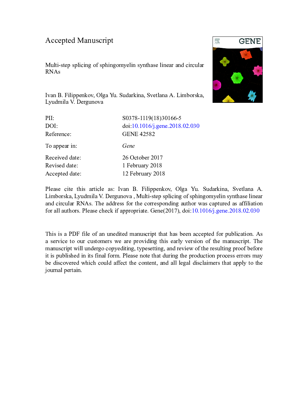 Multi-step splicing of sphingomyelin synthase linear and circular RNAs