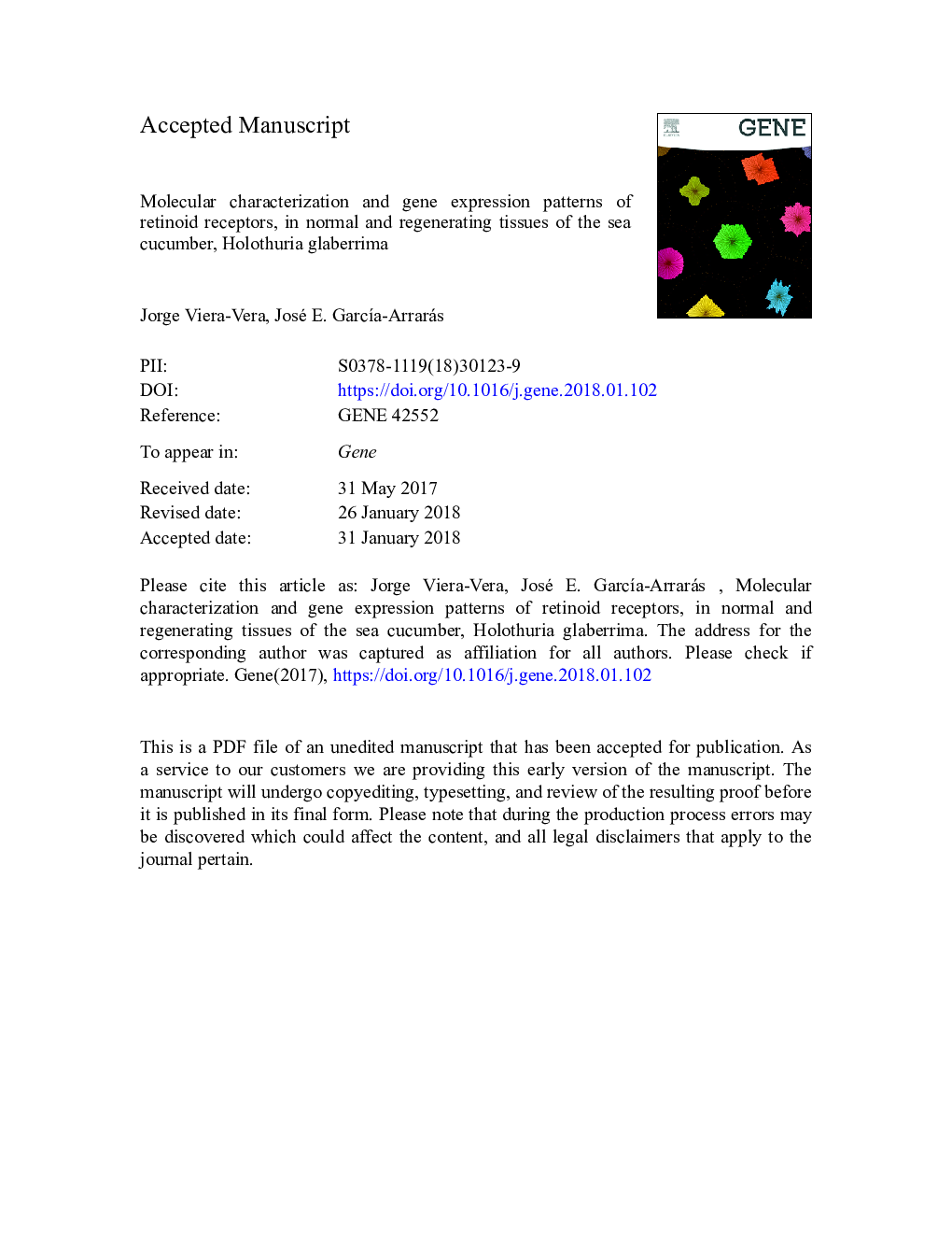 Molecular characterization and gene expression patterns of retinoid receptors, in normal and regenerating tissues of the sea cucumber, Holothuria glaberrima