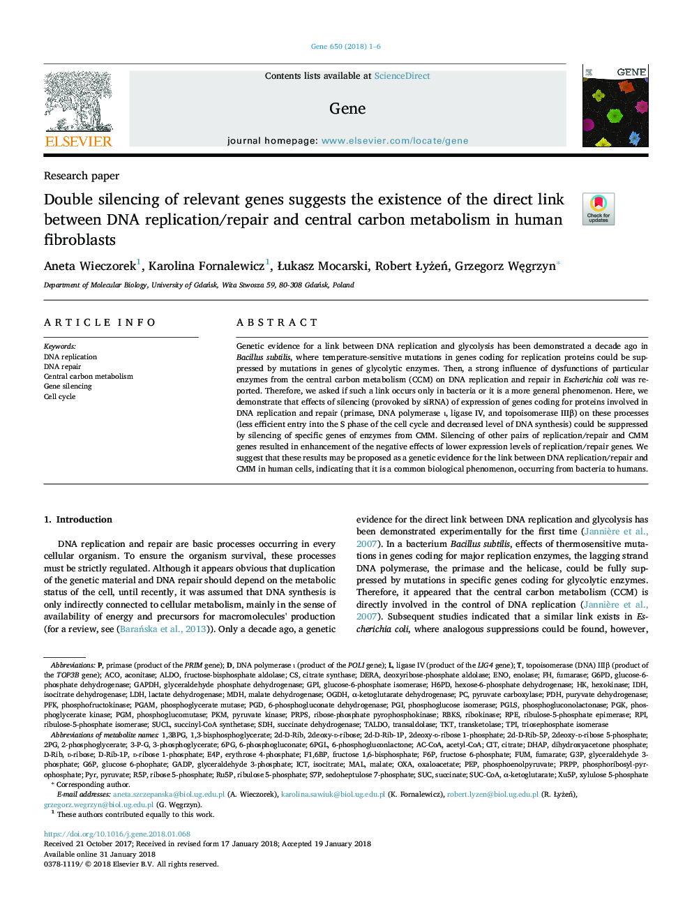 Double silencing of relevant genes suggests the existence of the direct link between DNA replication/repair and central carbon metabolism in human fibroblasts