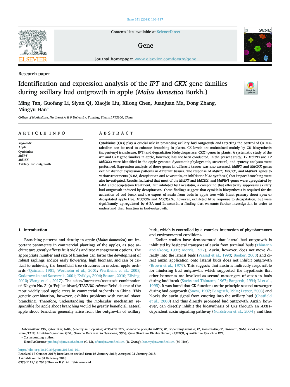 Identification and expression analysis of the IPT and CKX gene families during axillary bud outgrowth in apple (Malus domestica Borkh.)