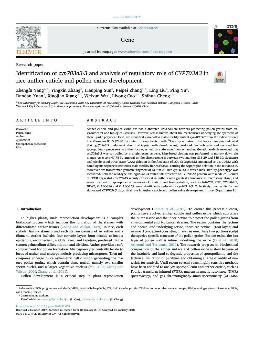 Identification of cyp703a3-3 and analysis of regulatory role of CYP703A3 in rice anther cuticle and pollen exine development