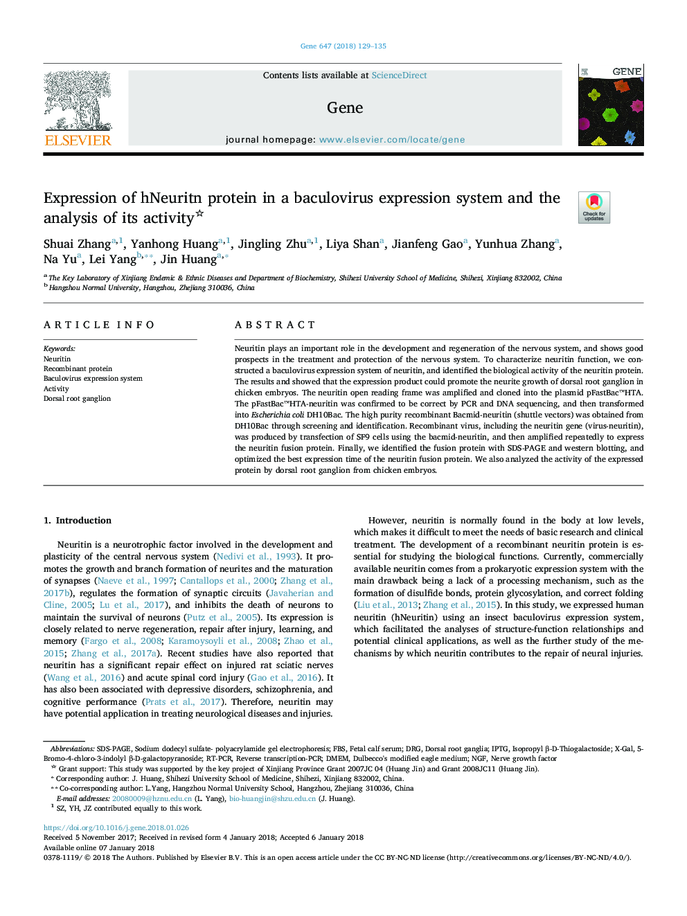 Expression of hNeuritin protein in a baculovirus expression system and the analysis of its activity