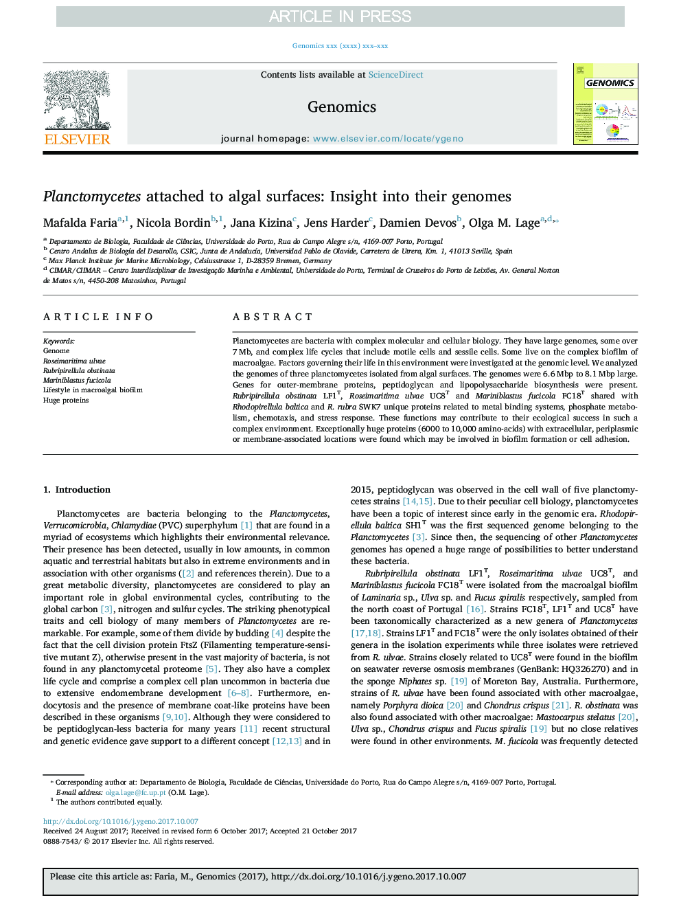 Planctomycetes attached to algal surfaces: Insight into their genomes