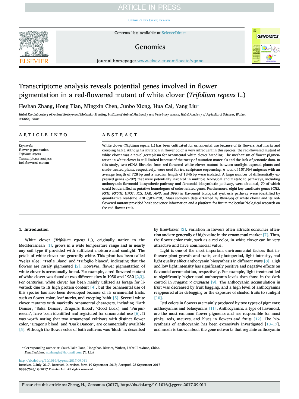 Transcriptome analysis reveals potential genes involved in flower pigmentation in a red-flowered mutant of white clover (Trifolium repens L.)