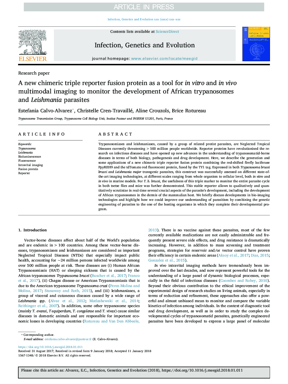 A new chimeric triple reporter fusion protein as a tool for in vitro and in vivo multimodal imaging to monitor the development of African trypanosomes and Leishmania parasites