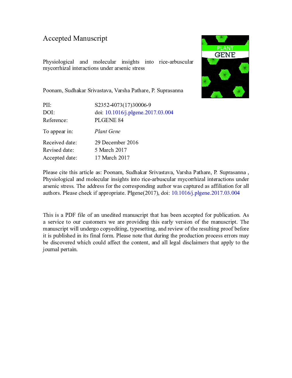 Physiological and molecular insights into rice-arbuscular mycorrhizal interactions under arsenic stress