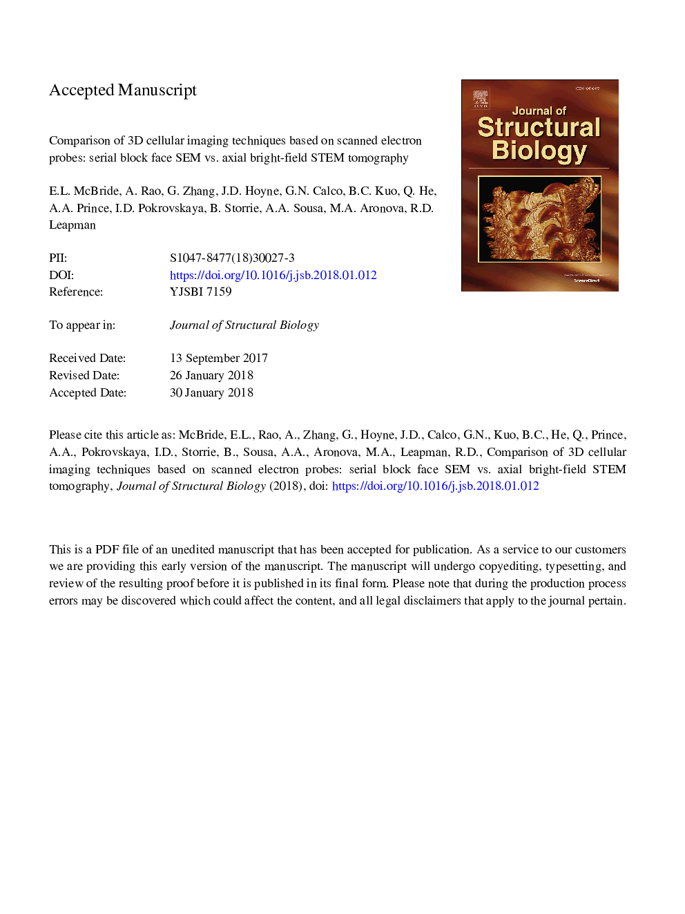 Comparison of 3D cellular imaging techniques based on scanned electron probes: Serial block face SEM vs. Axial bright-field STEM tomography