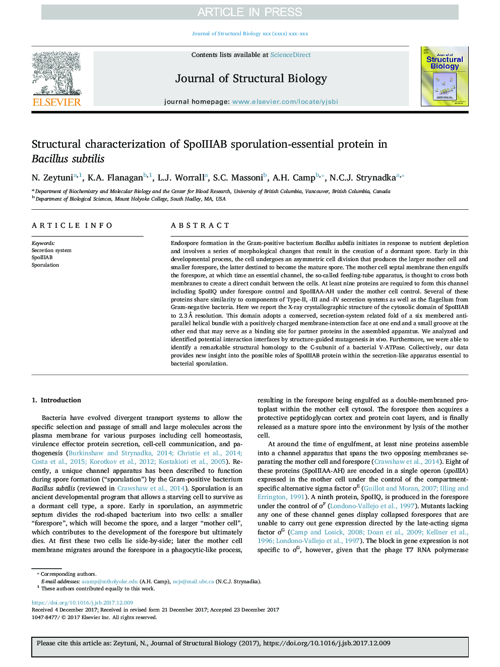 Structural characterization of SpoIIIAB sporulation-essential protein in Bacillus subtilis