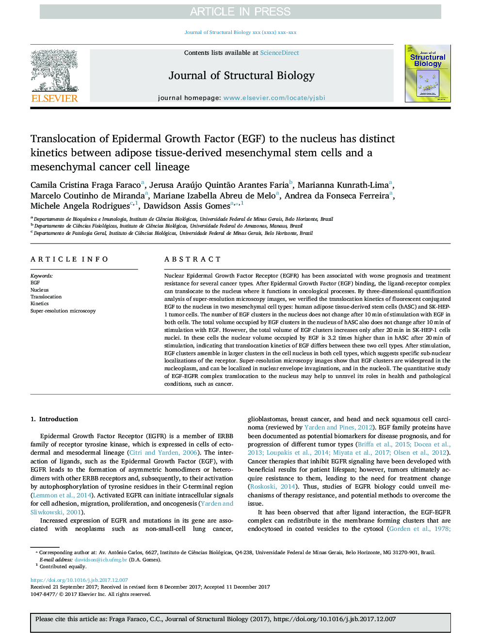 Translocation of Epidermal Growth Factor (EGF) to the nucleus has distinct kinetics between adipose tissue-derived mesenchymal stem cells and a mesenchymal cancer cell lineage