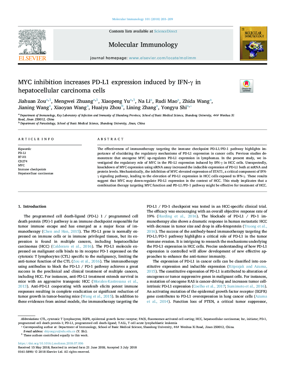 MYC inhibition increases PD-L1 expression induced by IFN-Î³ in hepatocellular carcinoma cells