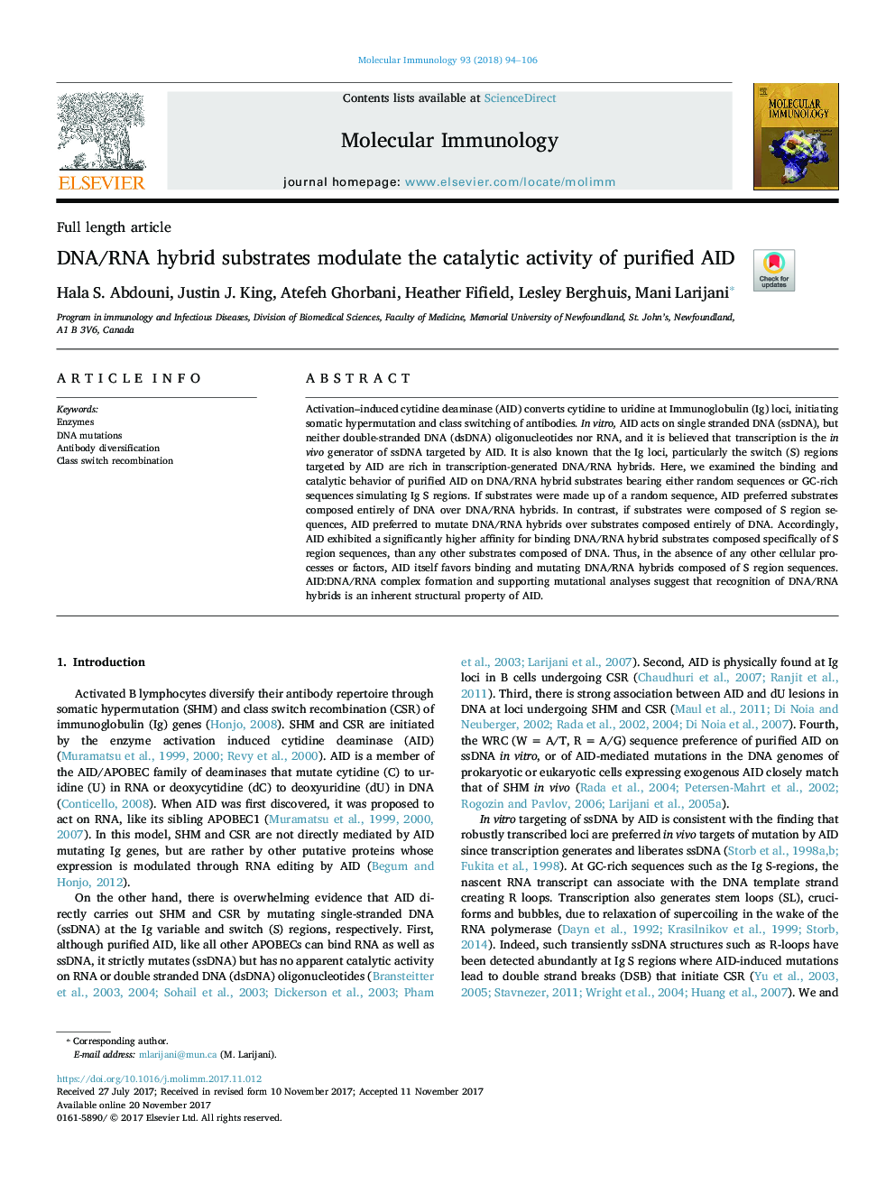 DNA/RNA hybrid substrates modulate the catalytic activity of purified AID