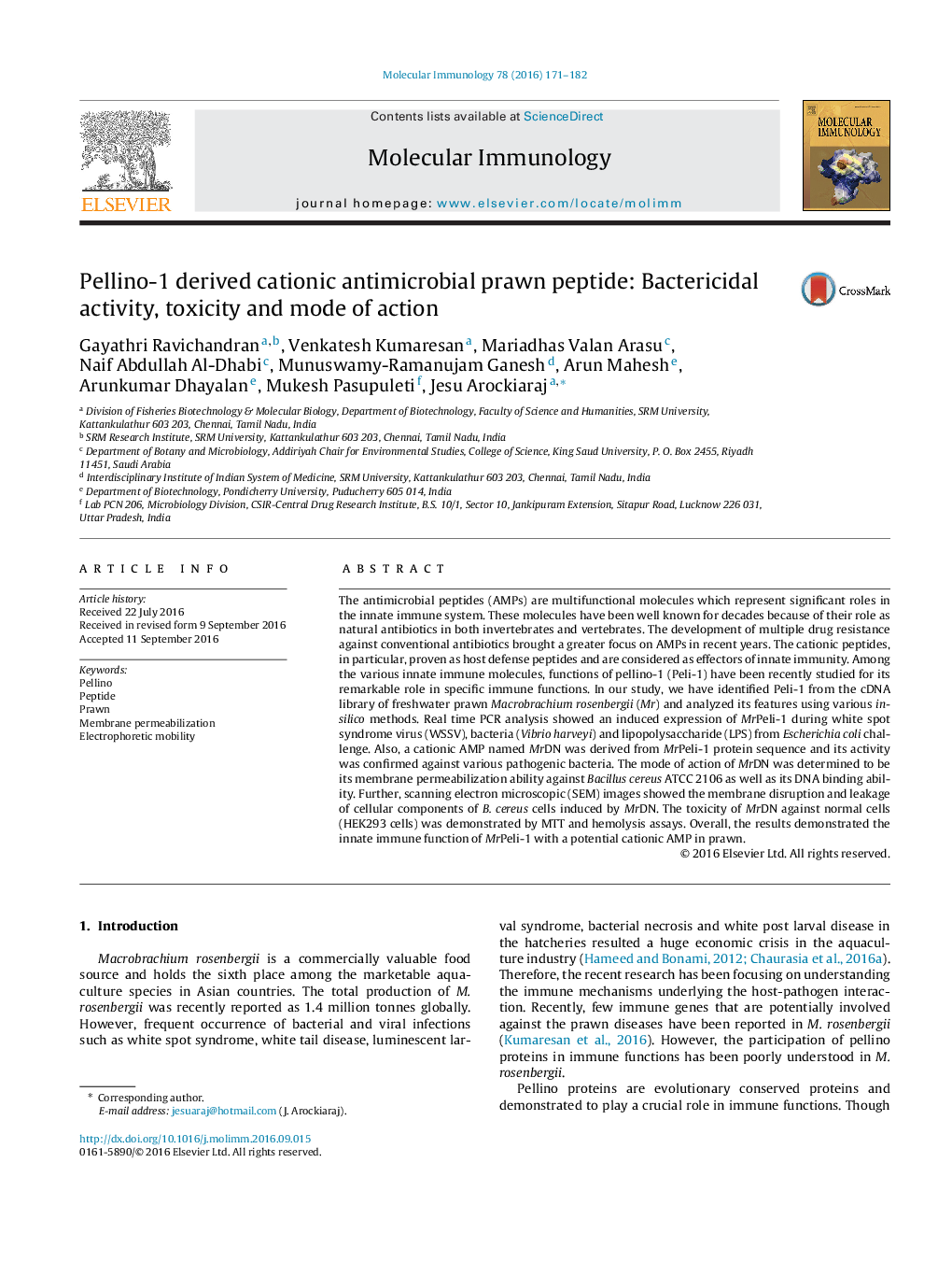 Pellino-1 derived cationic antimicrobial prawn peptide: Bactericidal activity, toxicity and mode of action