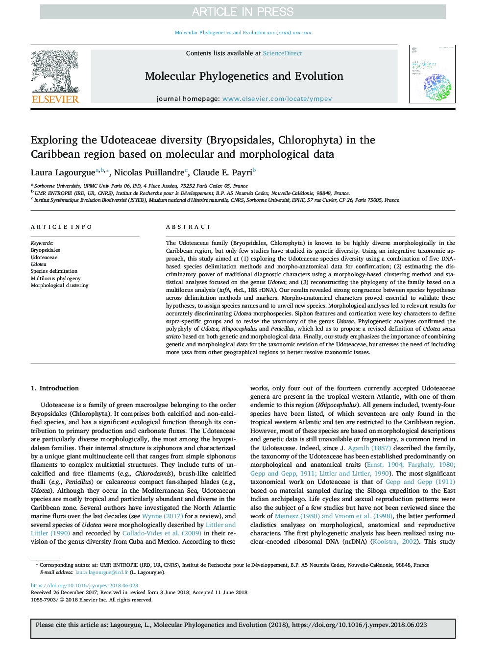 Exploring the Udoteaceae diversity (Bryopsidales, Chlorophyta) in the Caribbean region based on molecular and morphological data