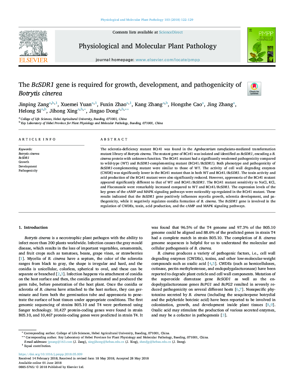 The BcSDR1 gene is required for growth, development, and pathogenicity of Botrytis cinerea