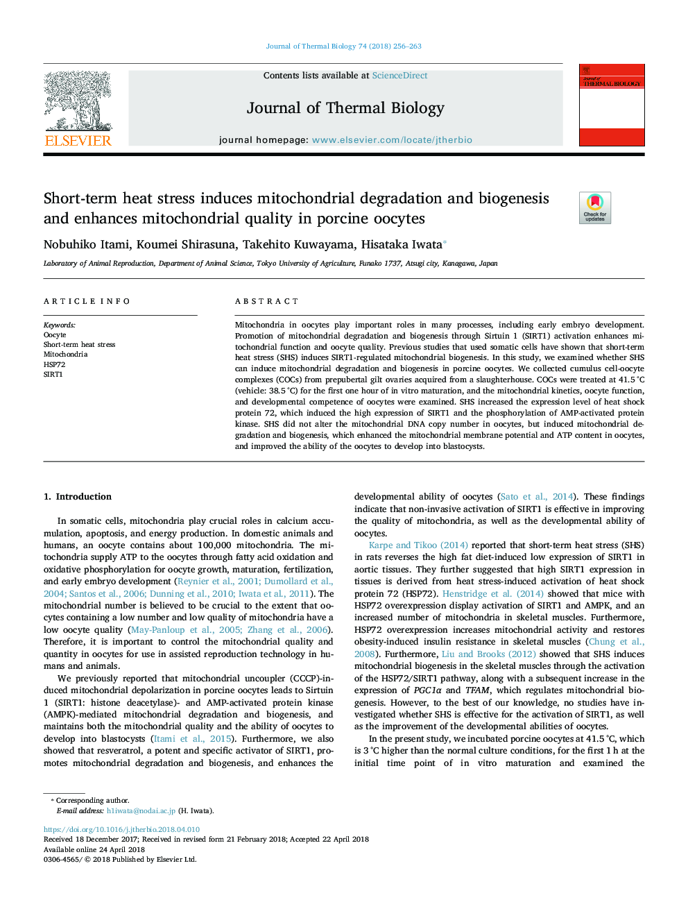 Short-term heat stress induces mitochondrial degradation and biogenesis and enhances mitochondrial quality in porcine oocytes