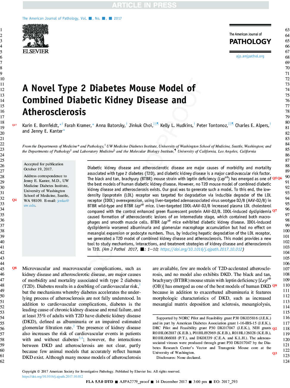 A Novel Type 2 Diabetes Mouse Model of Combined Diabetic Kidney Disease and Atherosclerosis