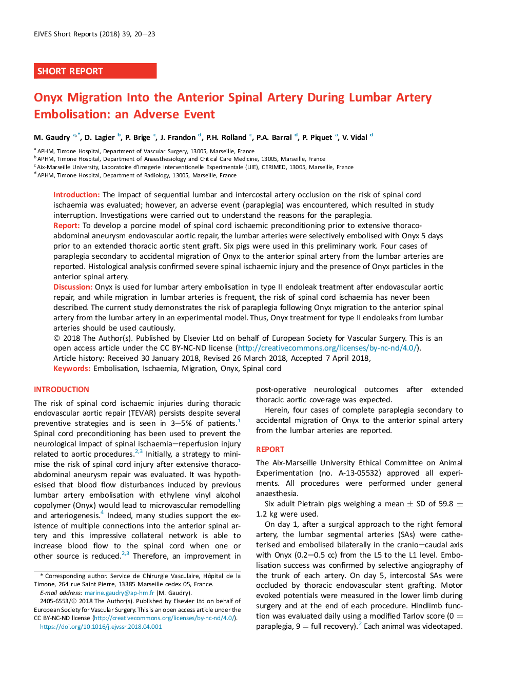 Onyx Migration Into the Anterior Spinal Artery During Lumbar Artery Embolisation: an Adverse Event