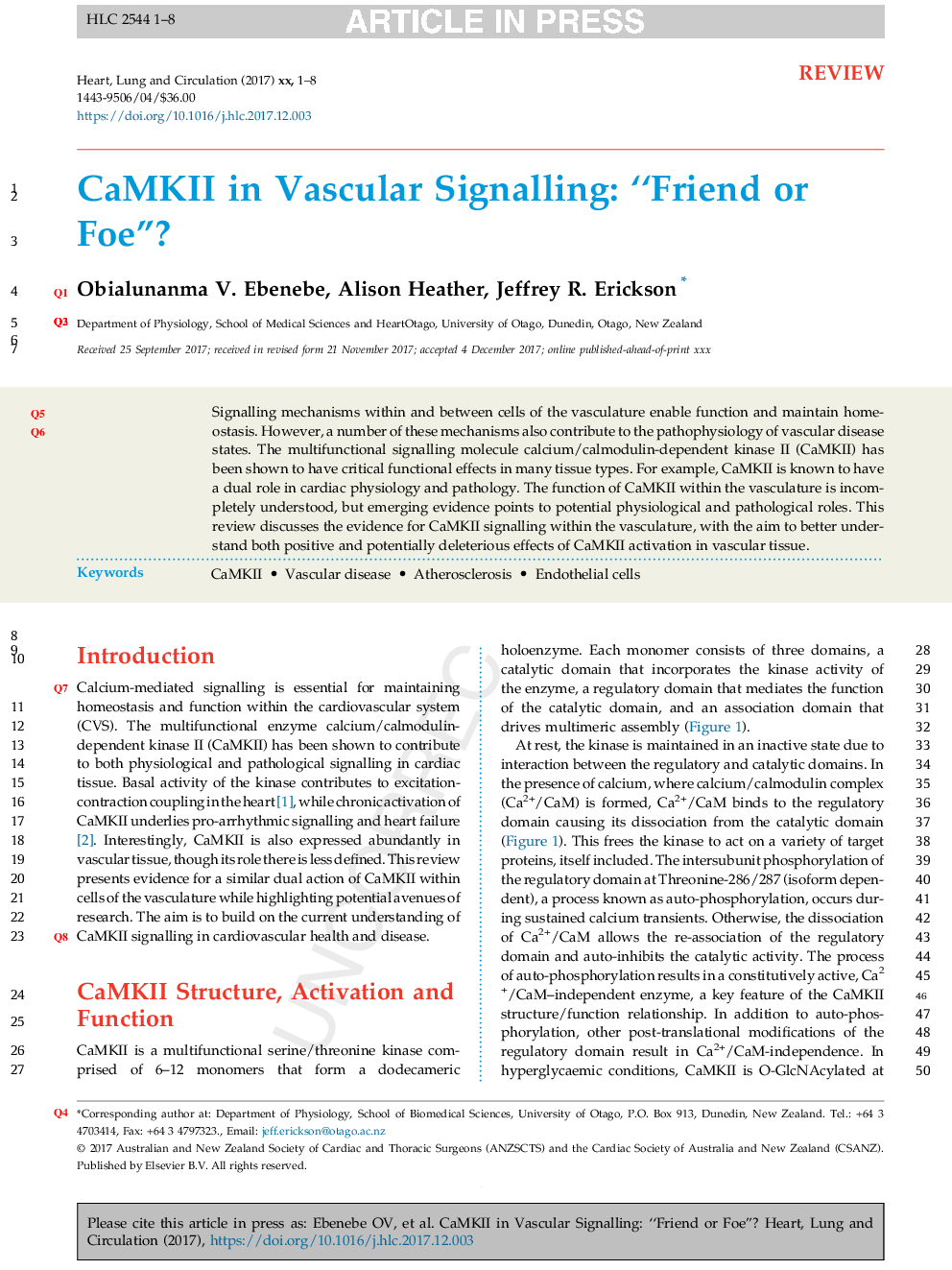 CaMKII in Vascular Signalling: “Friend or Foe”?