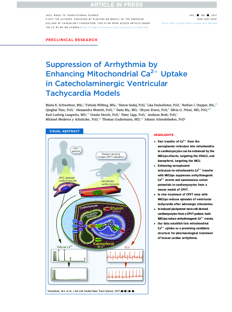 Suppression of Arrhythmia by EnhancingÂ Mitochondrial Ca2+ Uptake inÂ Catecholaminergic Ventricular Tachycardia Models