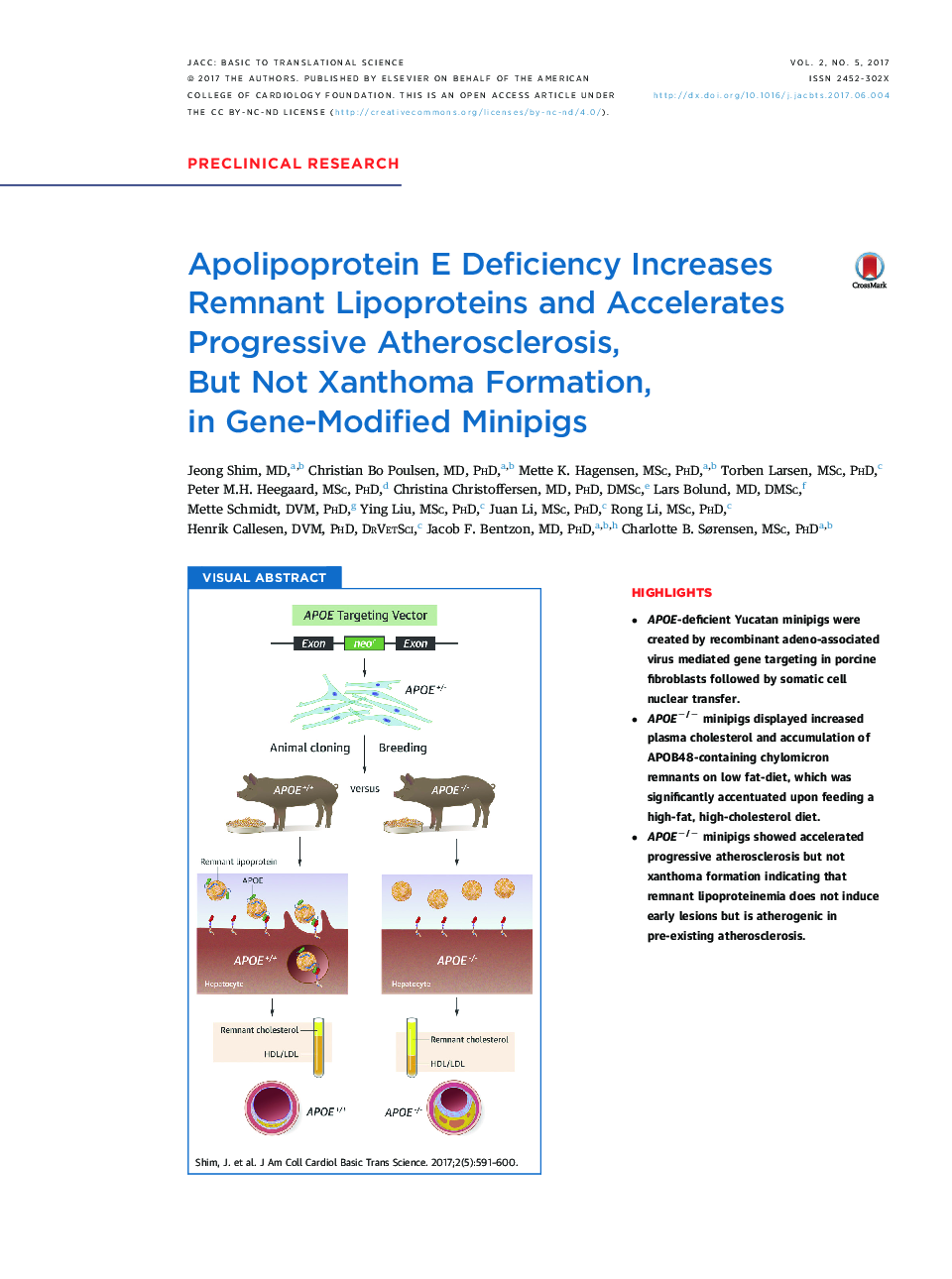 Apolipoprotein E Deficiency Increases Remnant Lipoproteins and Accelerates Progressive Atherosclerosis, But NotÂ Xanthoma Formation, in Gene-Modified Minipigs