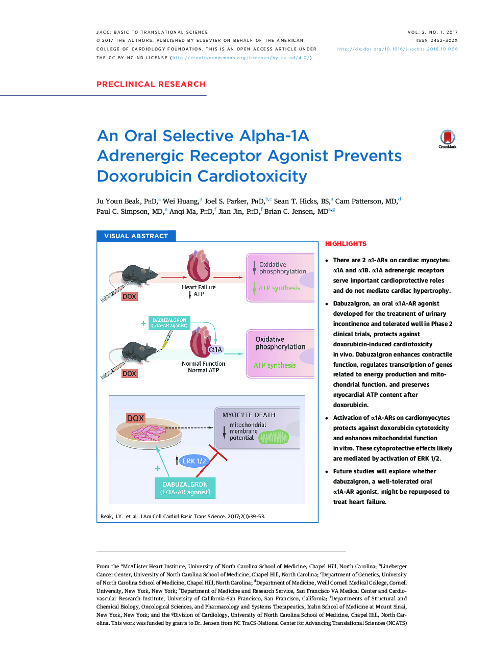 An Oral Selective Alpha-1A AdrenergicÂ Receptor Agonist Prevents Doxorubicin Cardiotoxicity