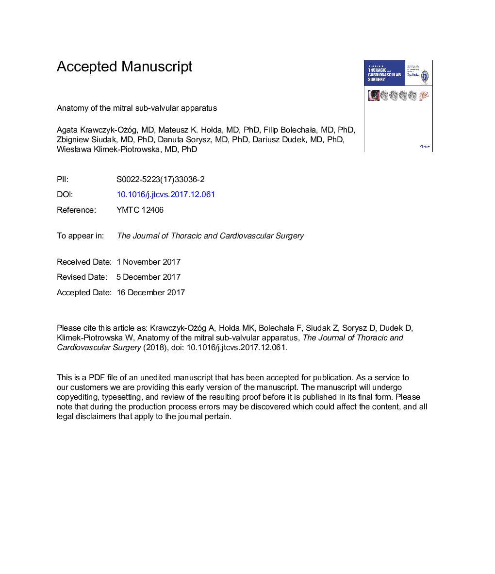 Anatomy of the mitral subvalvular apparatus