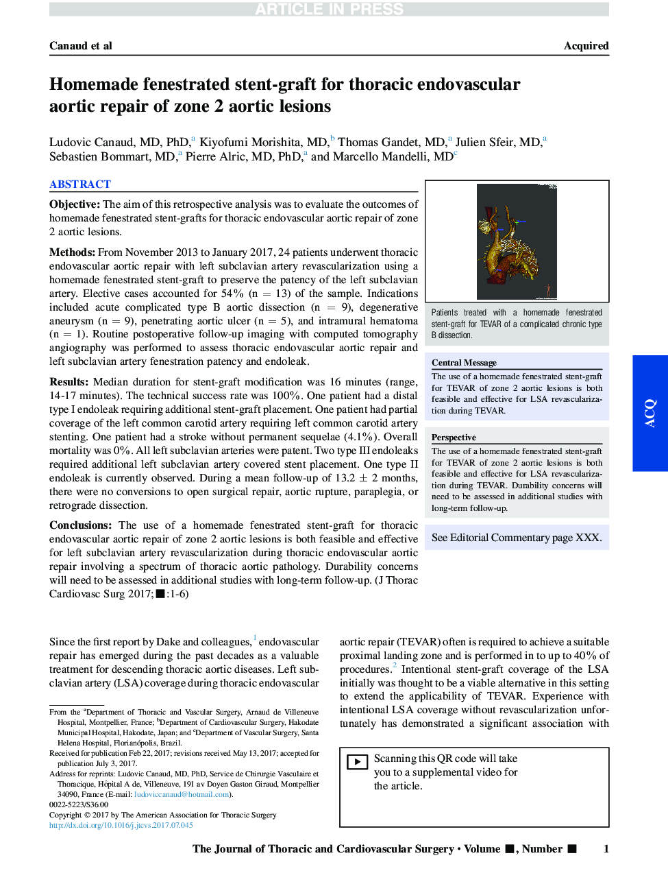 Homemade fenestrated stent-graft for thoracic endovascular aortic repair of zone 2 aortic lesions