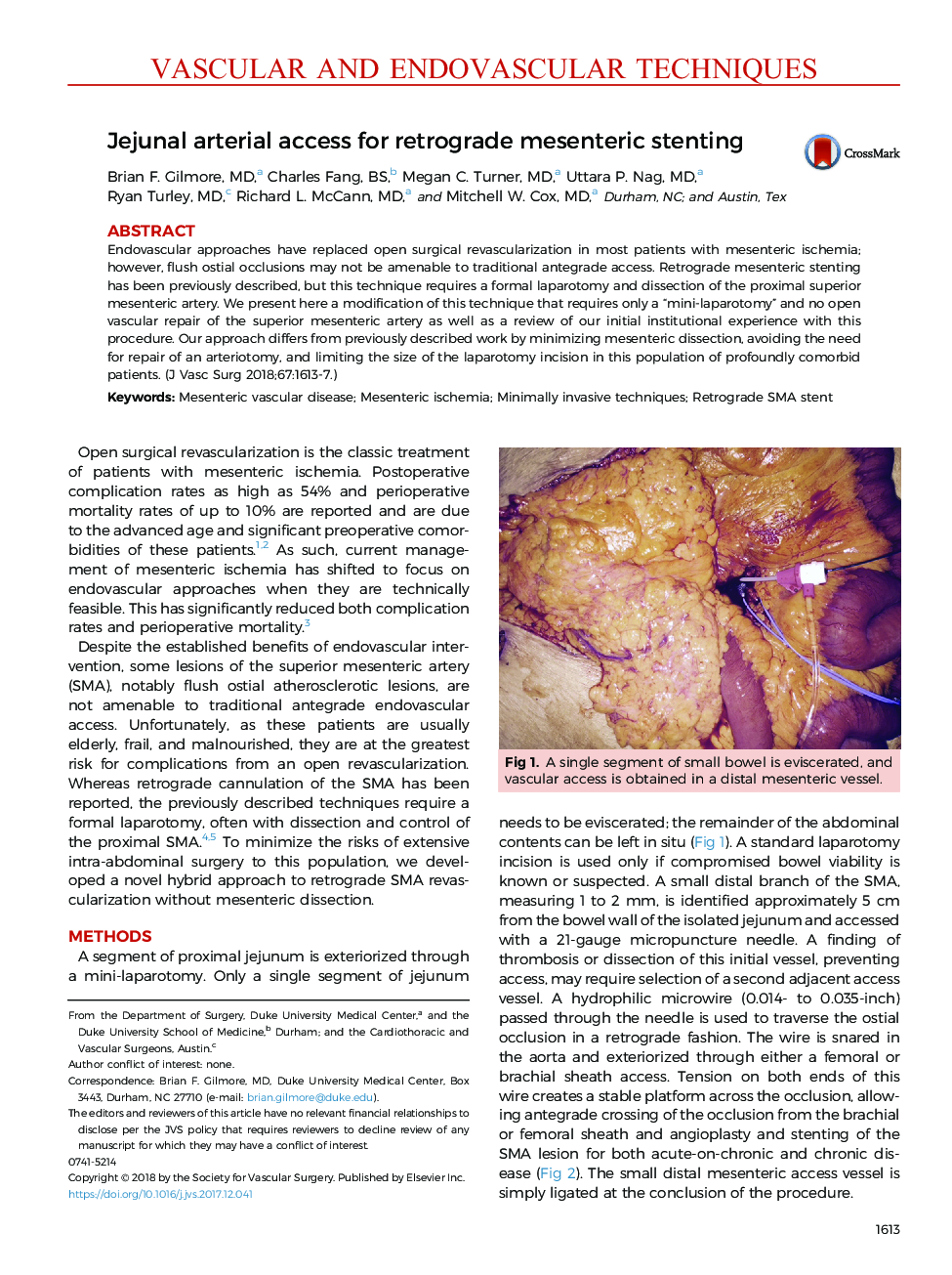 Jejunal arterial access for retrograde mesenteric stenting