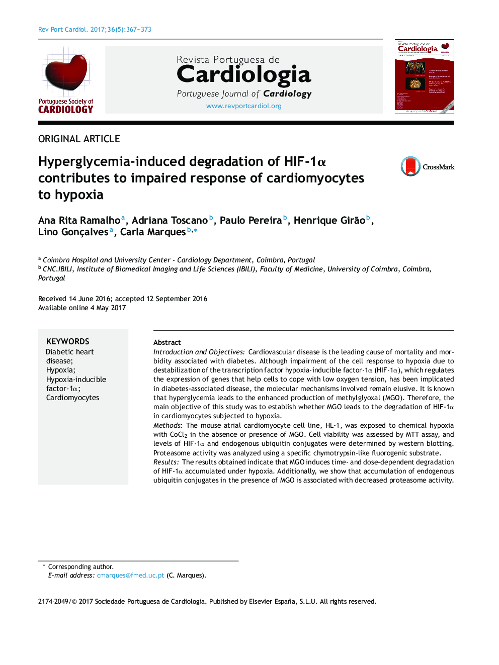 Hyperglycemia-induced degradation of HIF-1Î± contributes to impaired response of cardiomyocytes to hypoxia