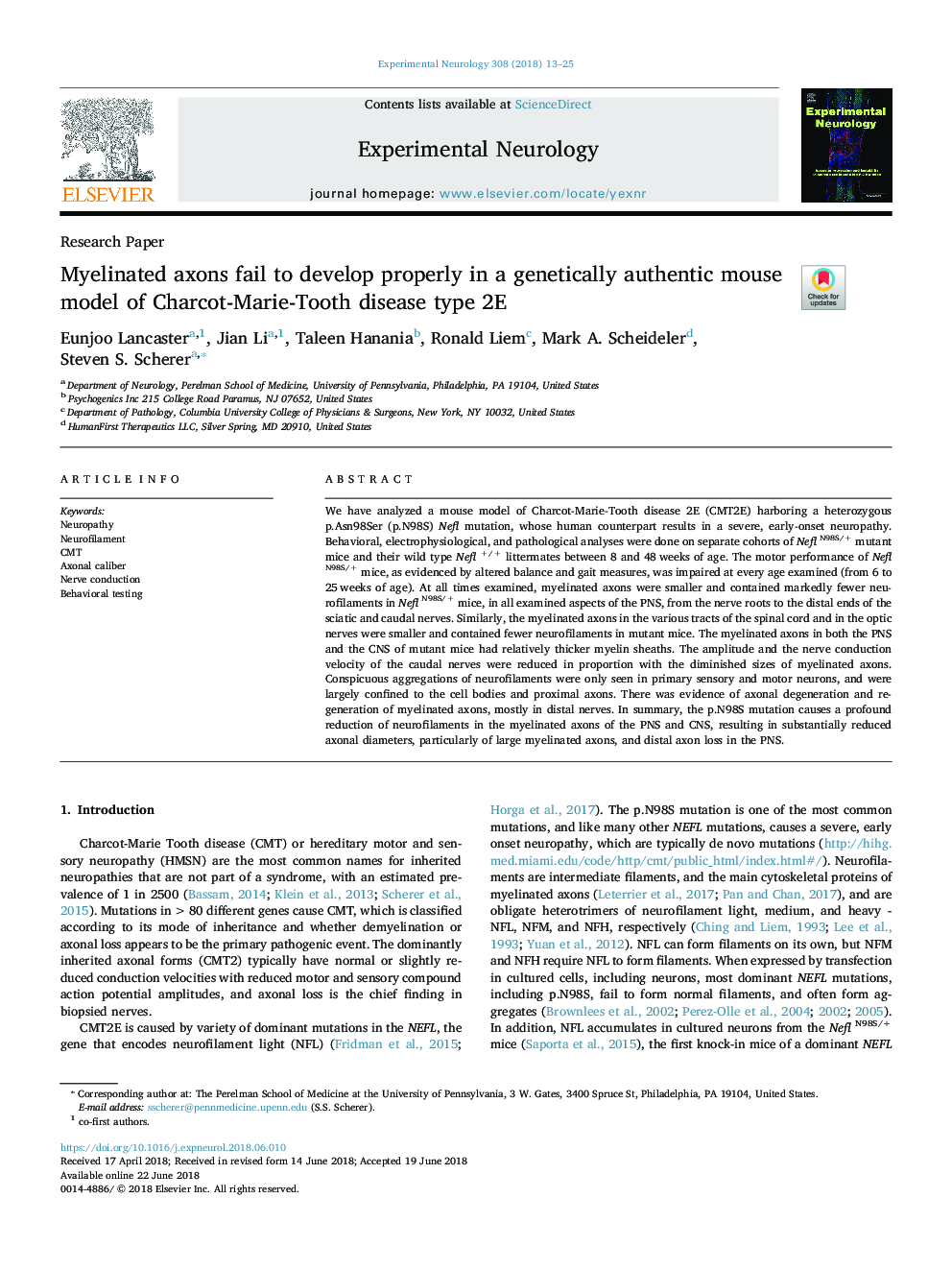 Myelinated axons fail to develop properly in a genetically authentic mouse model of Charcot-Marie-Tooth disease type 2E