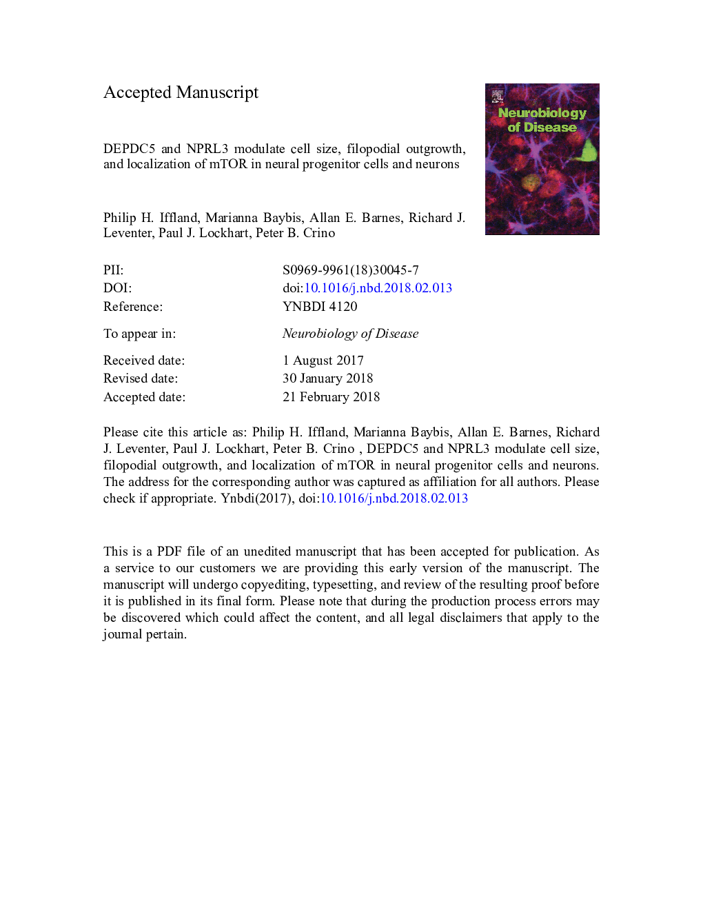 DEPDC5 and NPRL3 modulate cell size, filopodial outgrowth, and localization of mTOR in neural progenitor cells and neurons