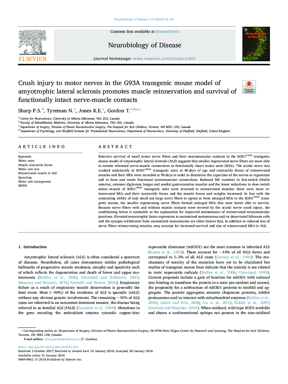 Crush injury to motor nerves in the G93A transgenic mouse model of amyotrophic lateral sclerosis promotes muscle reinnervation and survival of functionally intact nerve-muscle contacts