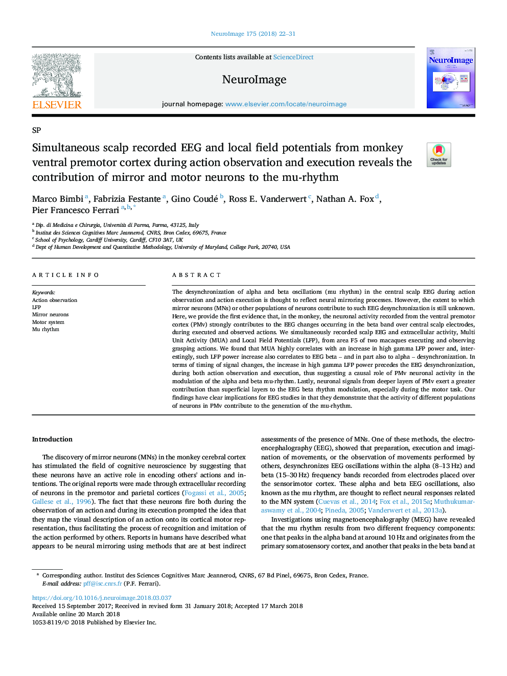 Simultaneous scalp recorded EEG and local field potentials from monkey ventral premotor cortex during action observation and execution reveals the contribution of mirror and motor neurons to the mu-rhythm