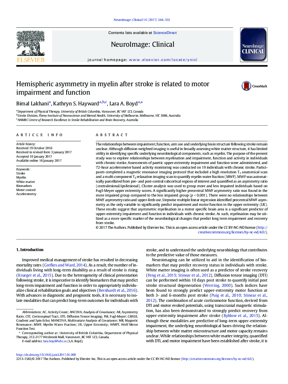 Hemispheric asymmetry in myelin after stroke is related to motor impairment and function