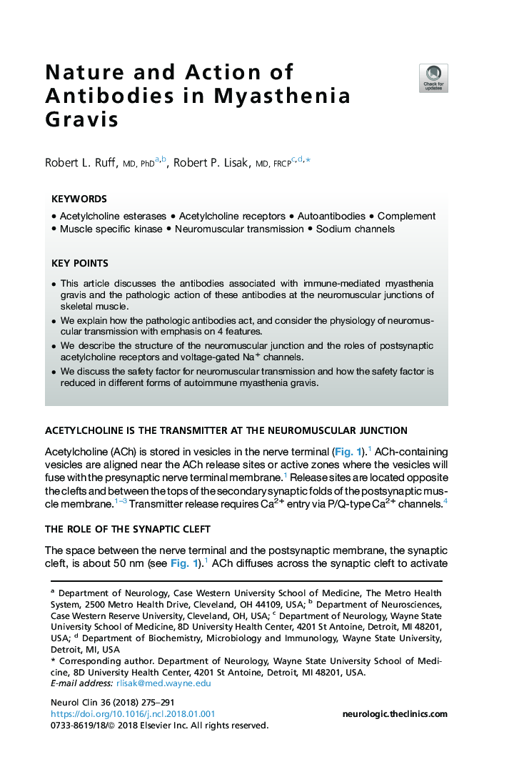 Nature and Action of Antibodies in Myasthenia Gravis