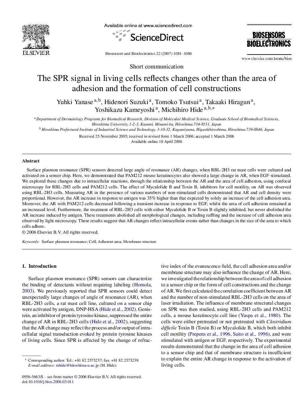 The SPR signal in living cells reflects changes other than the area of adhesion and the formation of cell constructions